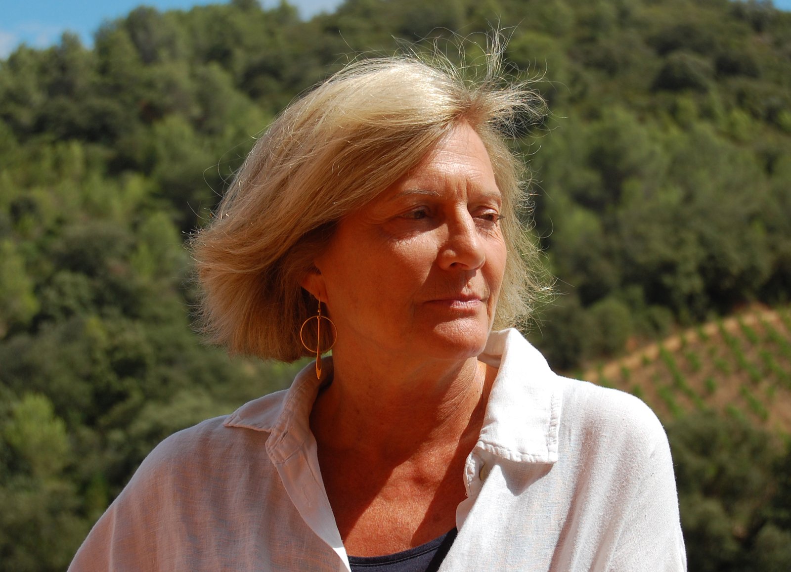 Mon parcours Dominique Gour psychiatre psychanalyse Jung Carl